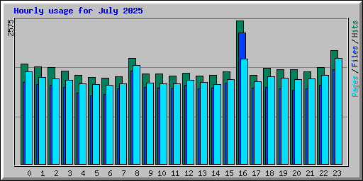 Hourly usage for July 2025