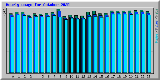 Hourly usage for October 2025