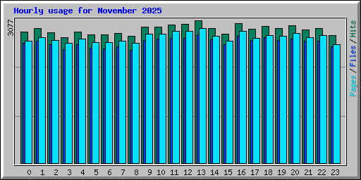 Hourly usage for November 2025
