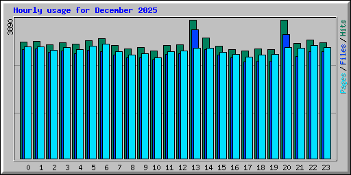 Hourly usage for December 2025