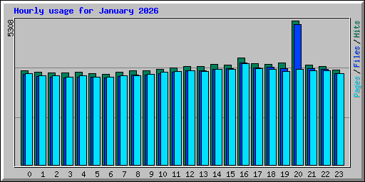 Hourly usage for January 2026