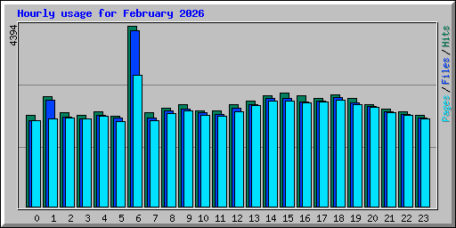 Hourly usage for February 2026