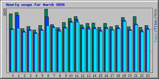 Hourly usage for March 2026